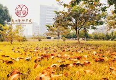 广西艺术学院校园风光